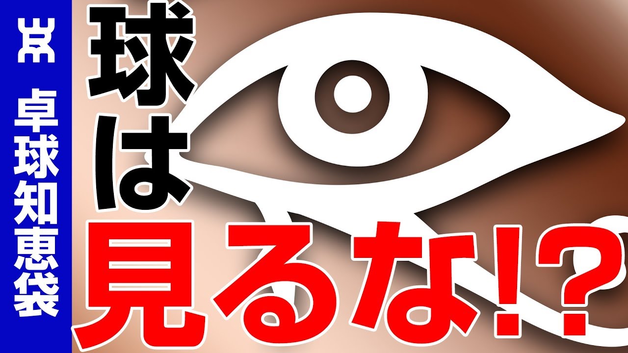 【WRM×古武術卓球】卓球界の常識を疑え！ボールを「見たら」上手に打てない？【卓球知恵袋】