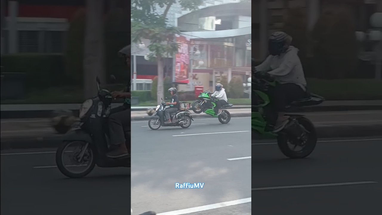 ZX636 Whelie 🔥#kawasaki #zx636 #kawasakininja