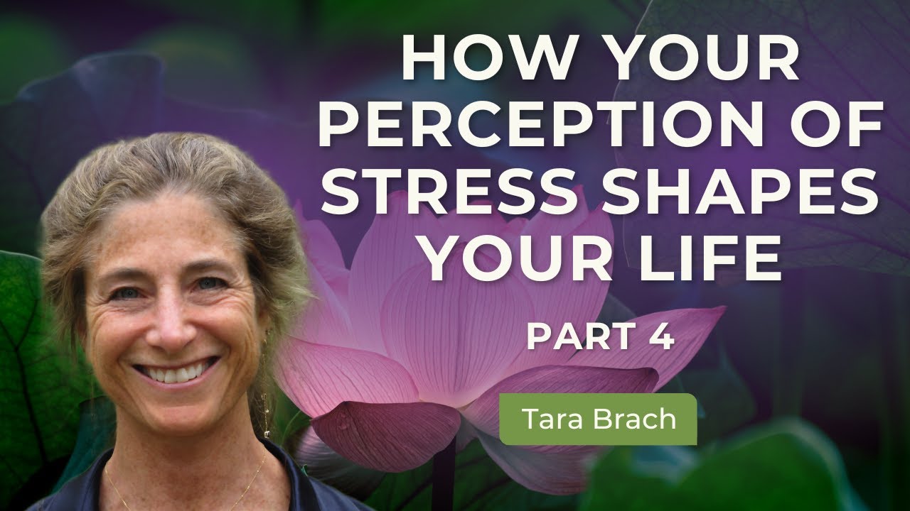 How Your Perception of Stress Shapes Your Life | Tara on Suffering and Spiritual Awakening (Part 4)