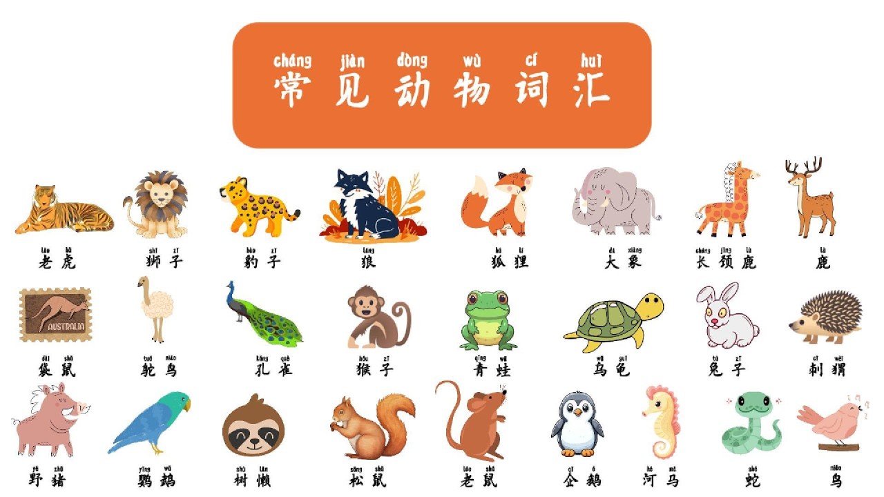 Chinese Vocabulary II Animals II 动物词汇