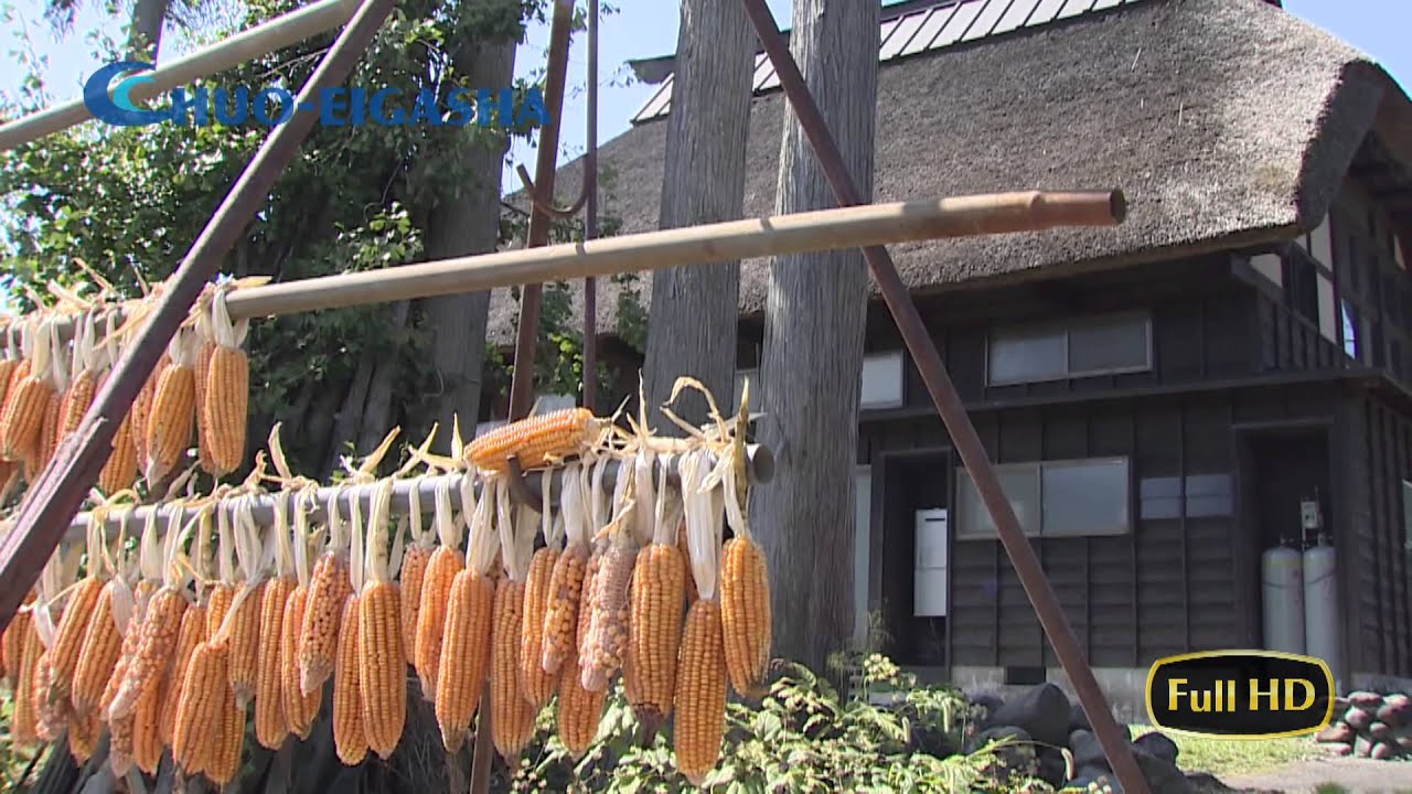 【HD】Oginoshima & Kadoide ~Thatched Village~ Takayanagi, Niigata | 荻ノ島・門出 ~かやぶきの里~ 新潟県柏崎市高柳