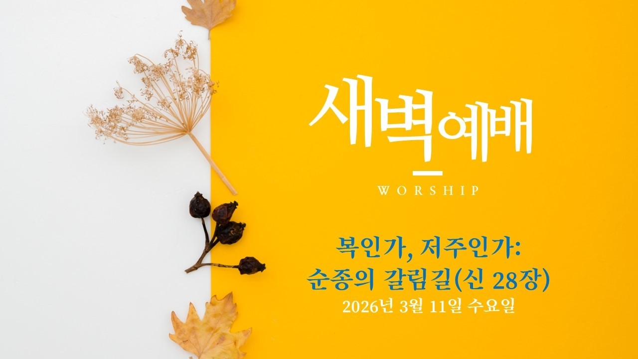 20260311 새벽 