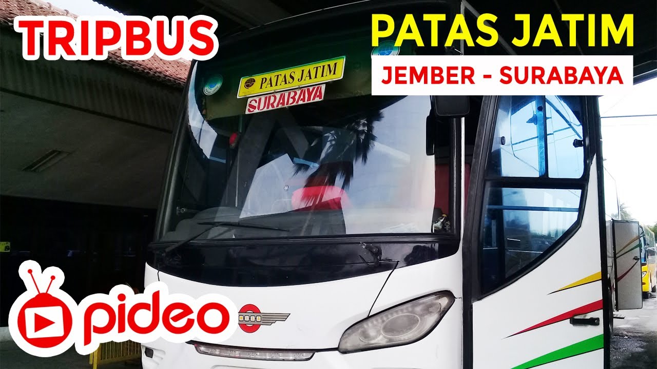 PIDEOBIS || Naik bis patas mila jember - surabaya