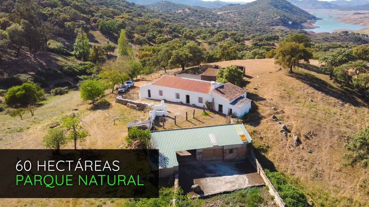 Finca rústica con cría de cochinos en el Parque Natural de la Sierra Norte de Sevilla | P2861
