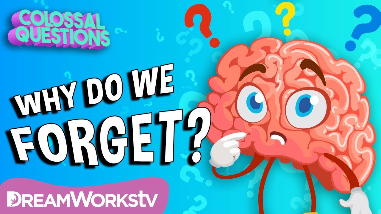 Why Do We Forget Things? | COLOSSAL QUESTIONS