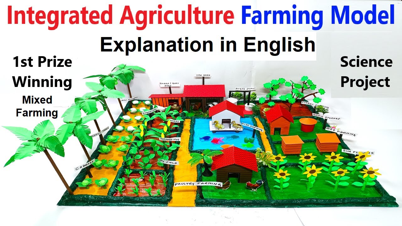 integrated agriculture farming model project explanation in english | mixed farming | howtofunda