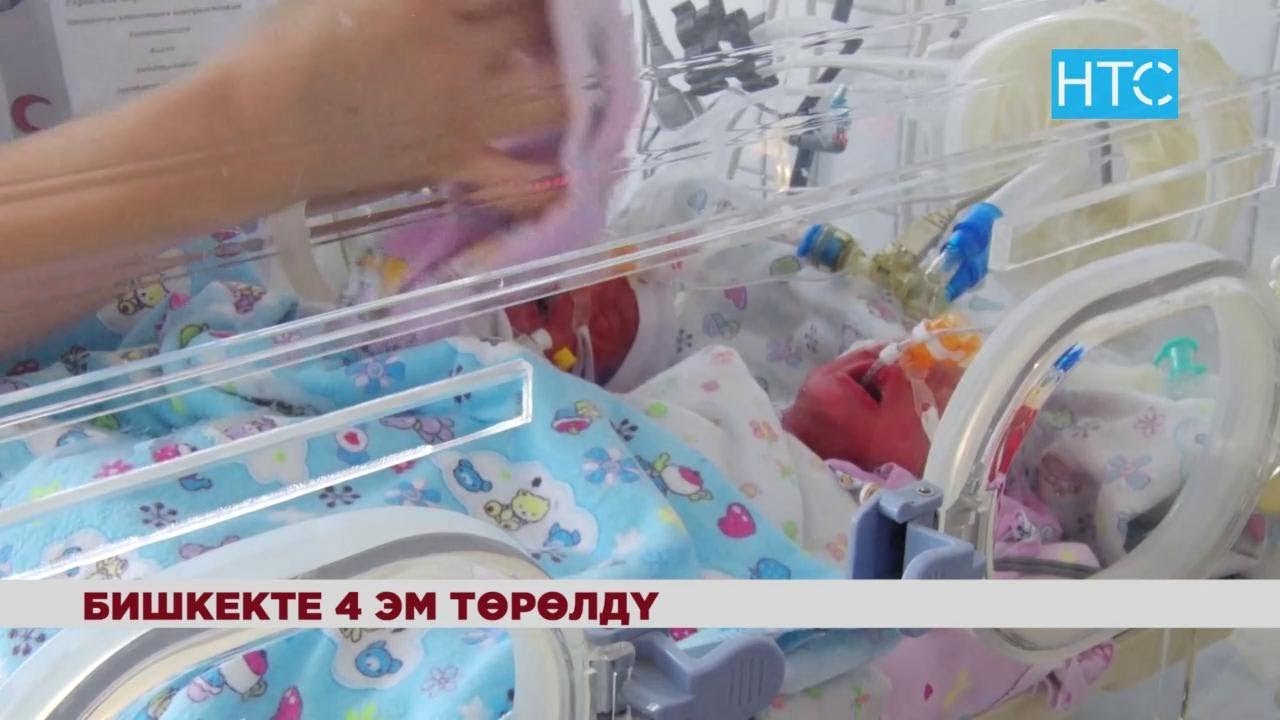 Бишкекте төрт эм төрөлдү / 25.02.19 / НТС