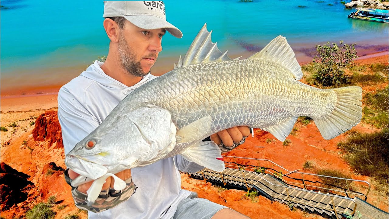 Dry season barra - Broome - Dampier Peninsula