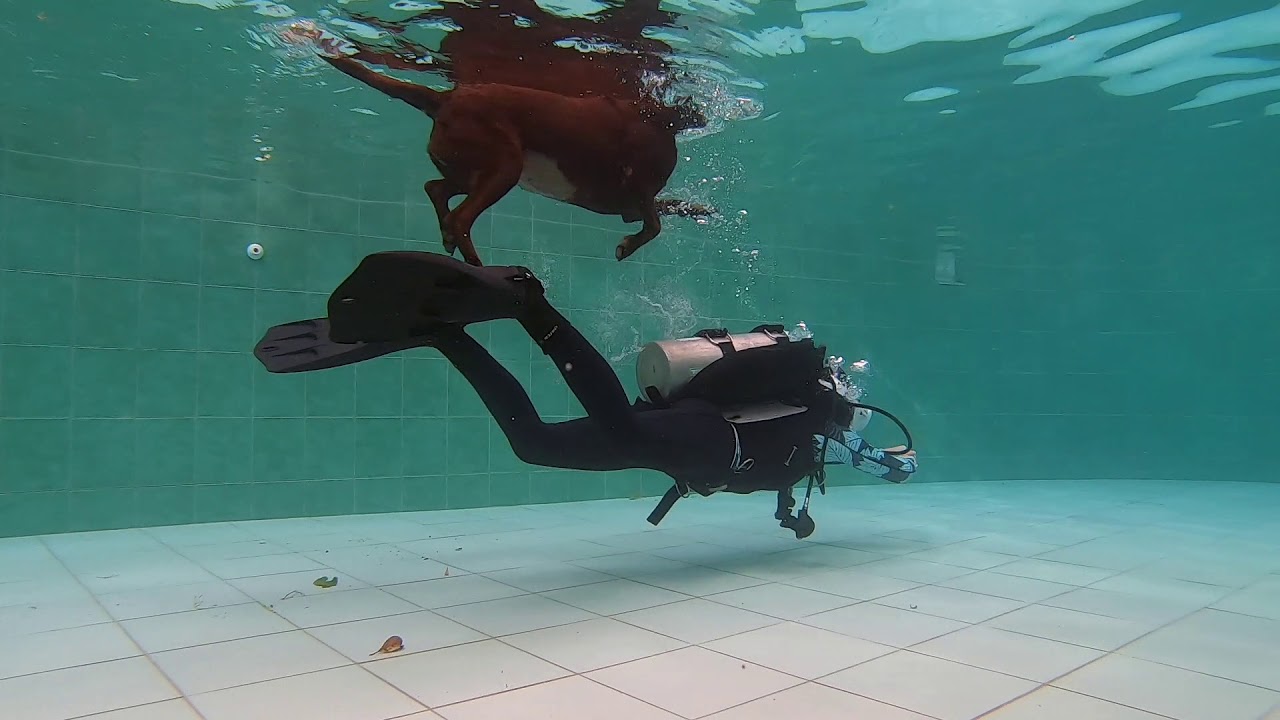 Finning Techniques & Neutral Buoyancy