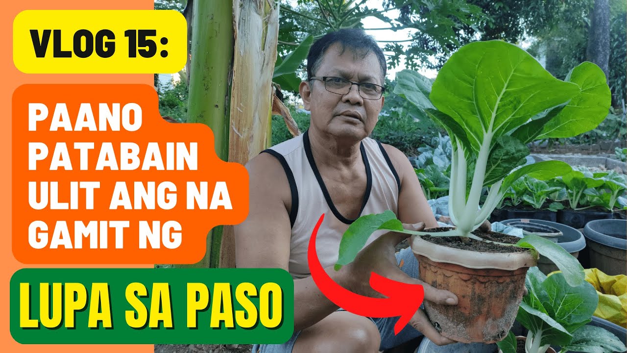 Vlog 15: Paano patabain ulit ang nagamit ng lupa sa paso