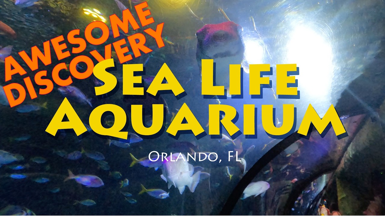 Sea Life Aquarium - Orlando, FL