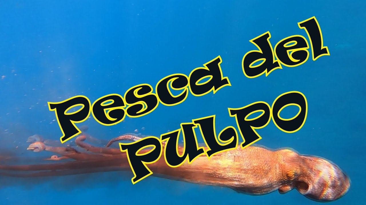 Pesca del Pulpo con pulpera en El Boni&iquest;El amigo Paco qu&eacute; nos contar&aacute;?