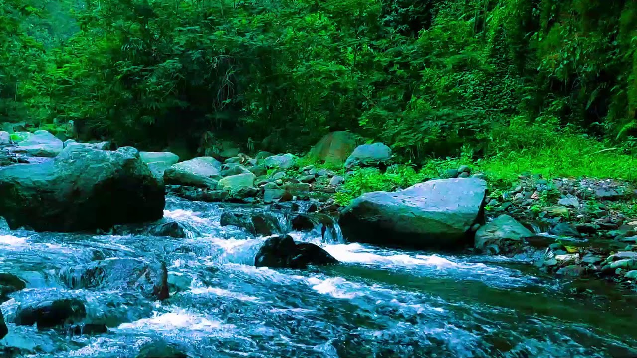 Gentle River Sounds for Deep Sleep  Natural White Noise for Insomnia  Stress Relief
