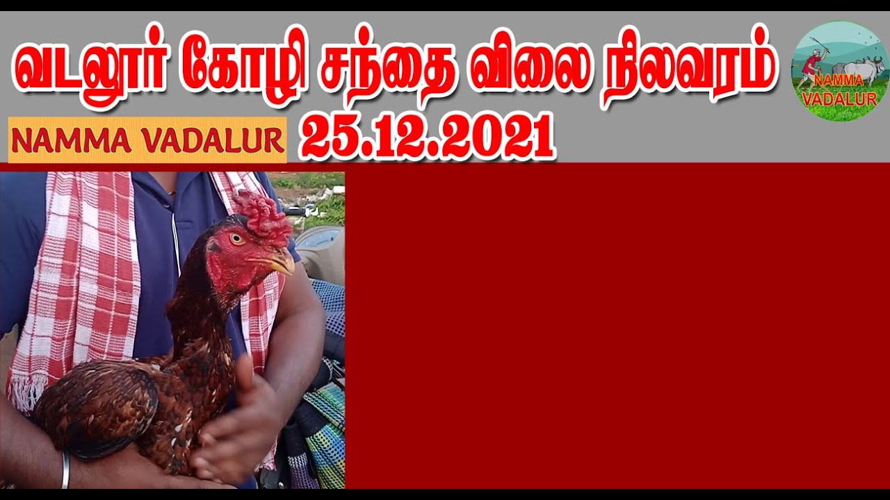 வடலூர் கோழி சந்தை விலை நிலவரம்25.12.2021