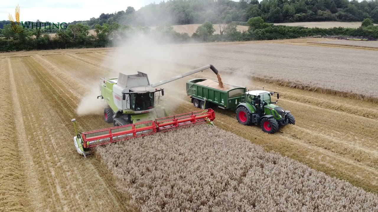 UK Farming 2021 - Whiting Ash Farms