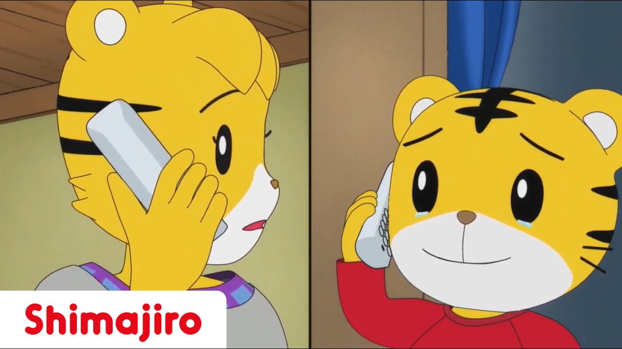I Won't Cry - Shimajiro Animation | Family  | Mom | Mum | Kids videos for kids | Shimajiro