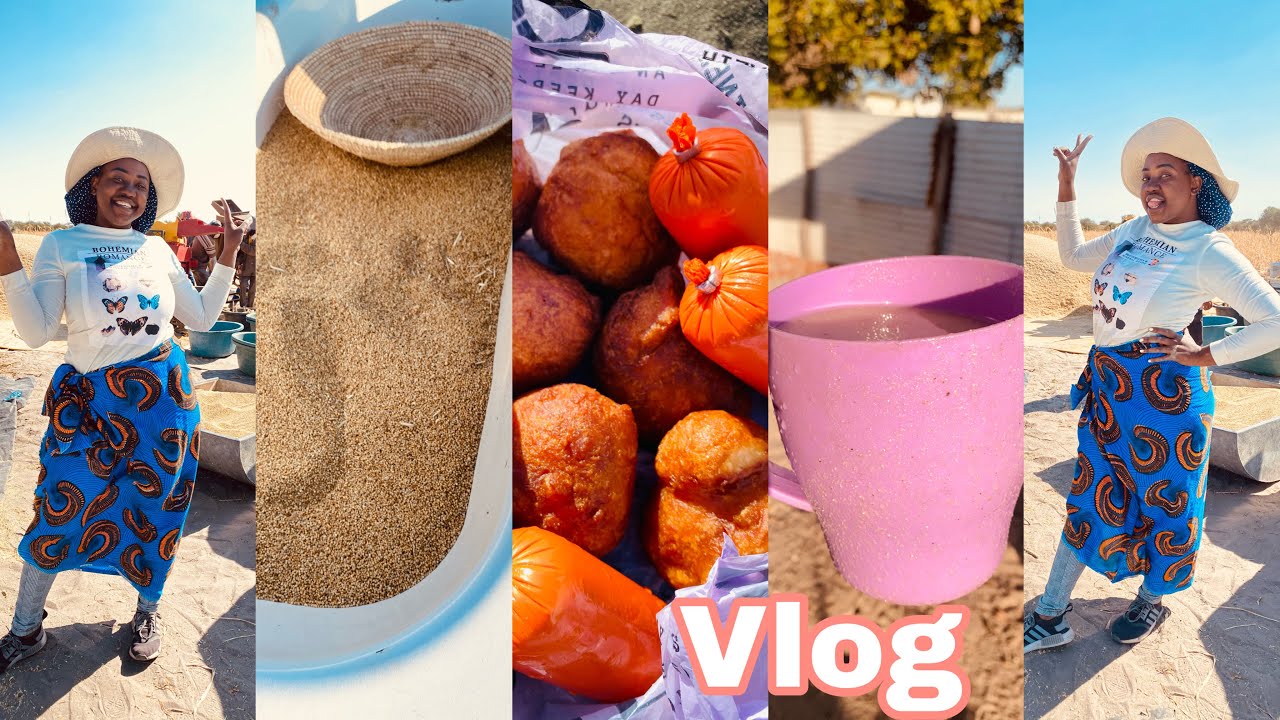 Village Vlog| Threshing Mahangu| Namibian Youtuber| Kaino
