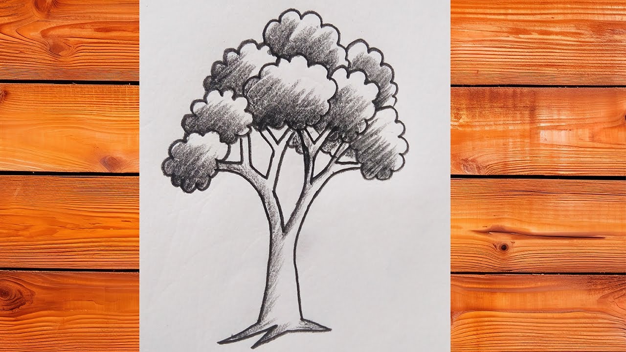 Tree drawing tutorial easy way 