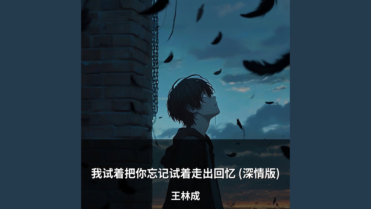 我试着把你忘记试着走出回忆(深情版)