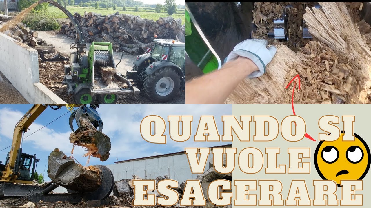 SPACCATRONCHI E CIPPATURA PURE SOUND / LOG SPLITTER AND WOOD CHIPPING