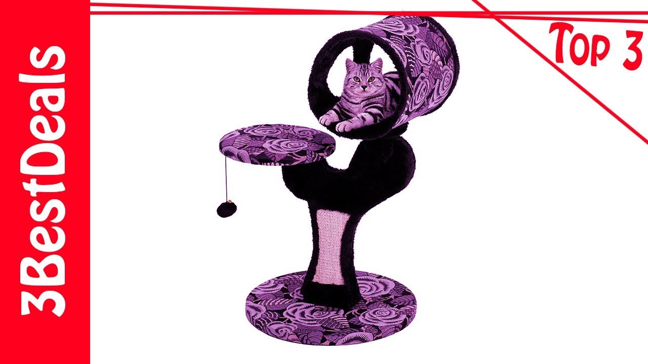 3 Best Cat Trees 2023