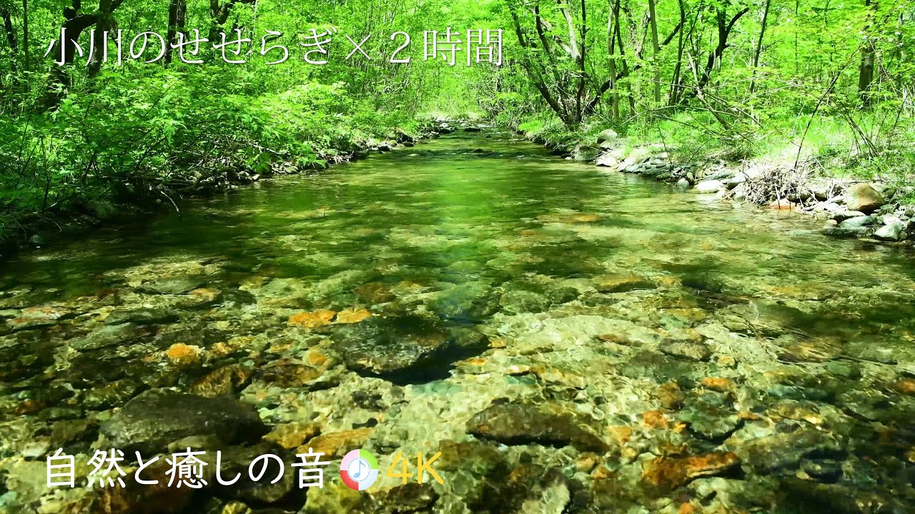 【自然の音】新緑の森林と小川のせせらぎ、癒し、睡眠、リラックス、作業用BGM/River Sound/Nature Sounds/Healing/Sleep/Relaxing/ASMR/4K【２時間】