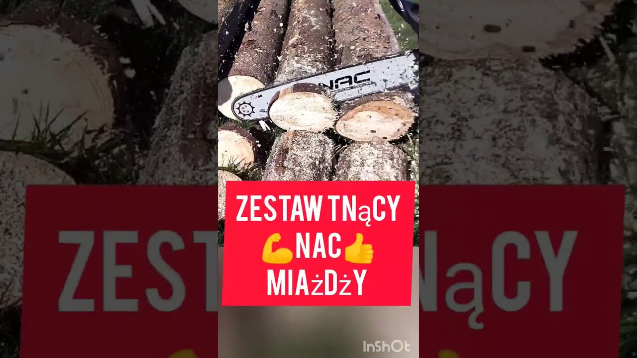 Łańcuch i prowadnica NAC robi robotę 👍. #piła #Nac #łańcuch