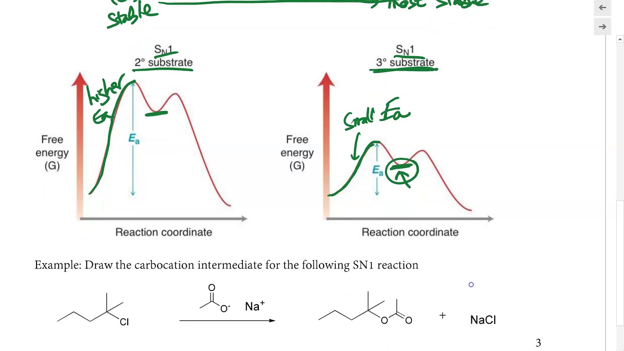 Organic Chemistry -  Introduction to SN1 Reaction