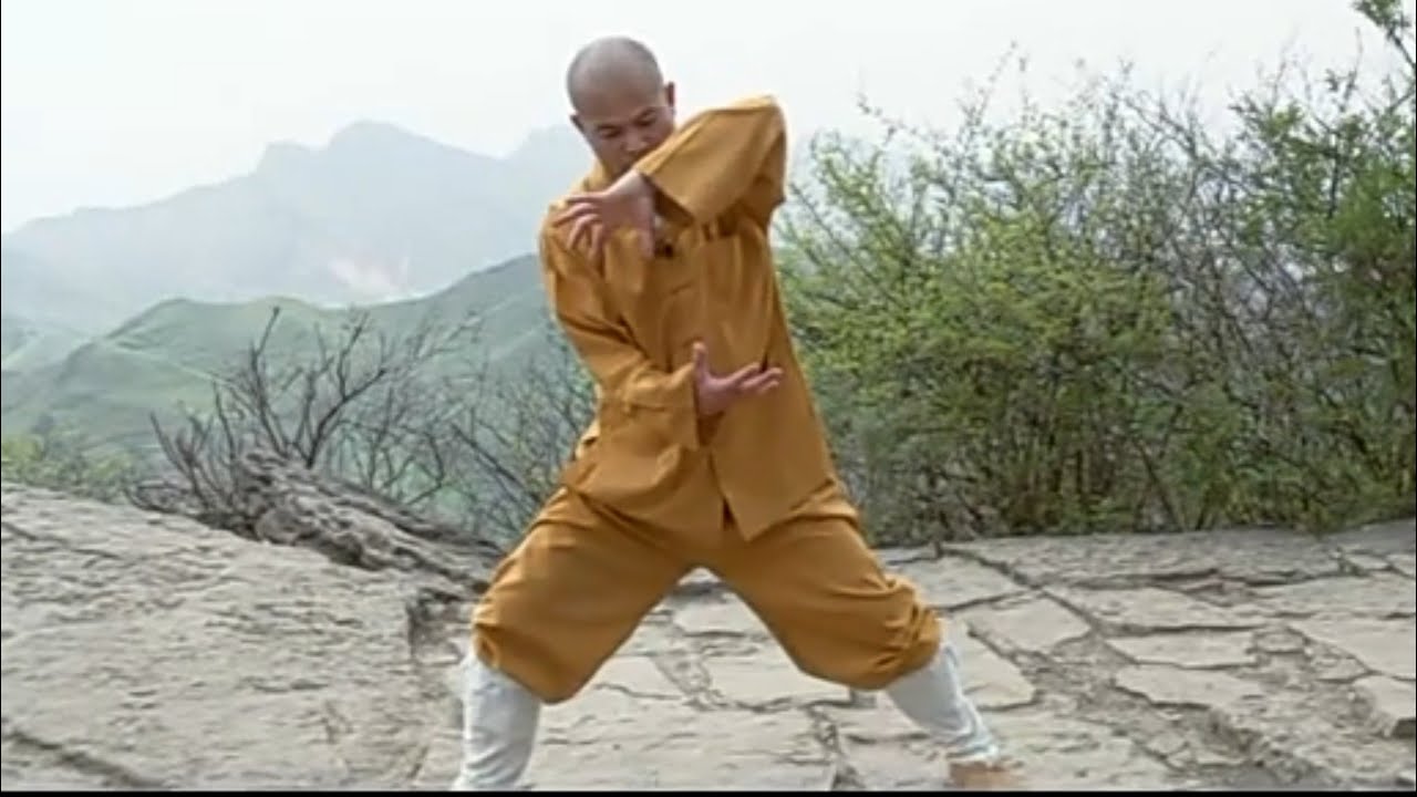 SHAOLIN KUNG FU: Sunny tactics (zhao yang quan)