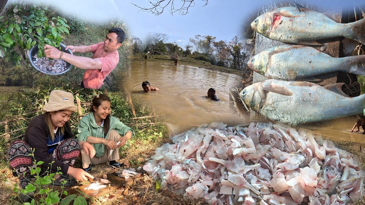 9 กุมภาพันธ์ ค.ศ. 2026 ไปซอยจุที่หนอง ปลาสาวนิ้ม