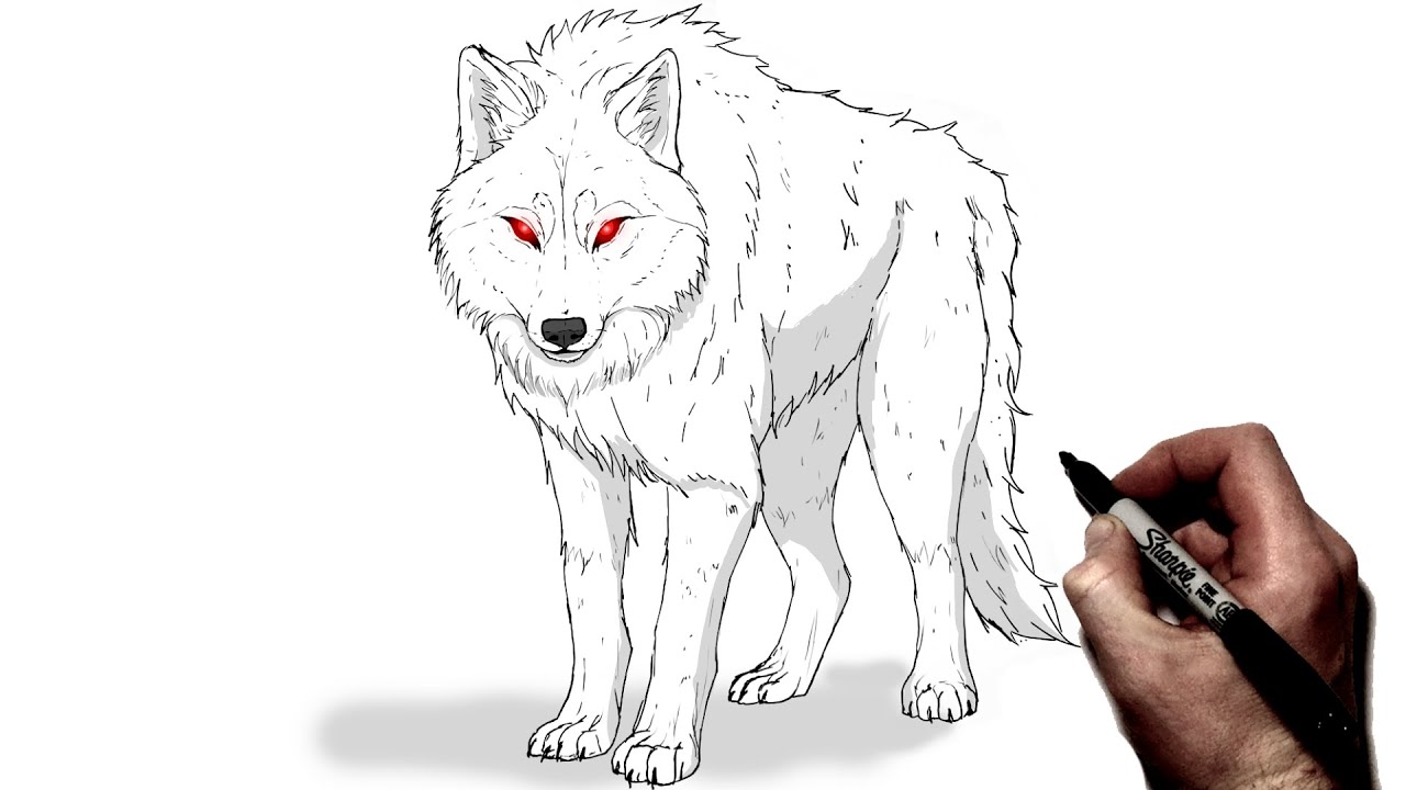 How To Draw A Dire Wolf | Step By Step