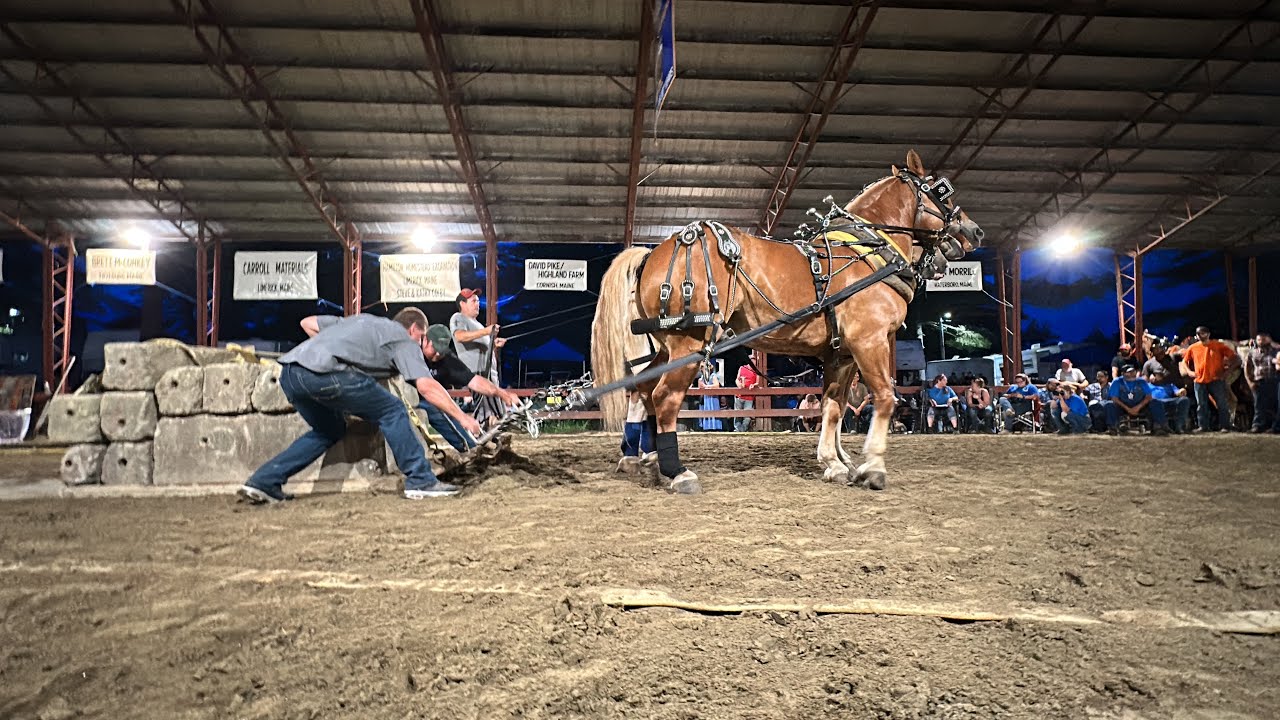 Horse Pull 2023: Ossipee Valley Fair