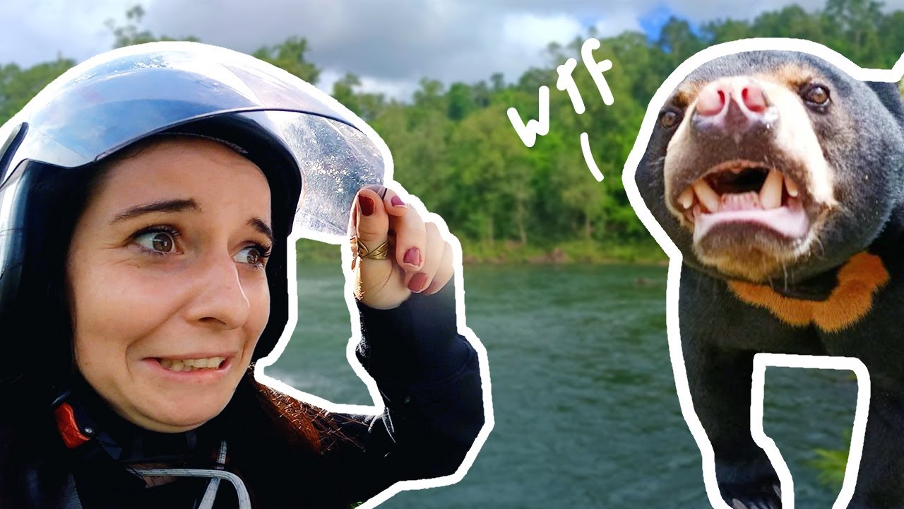 A trip to the Cardamom Mountains (it was cool)