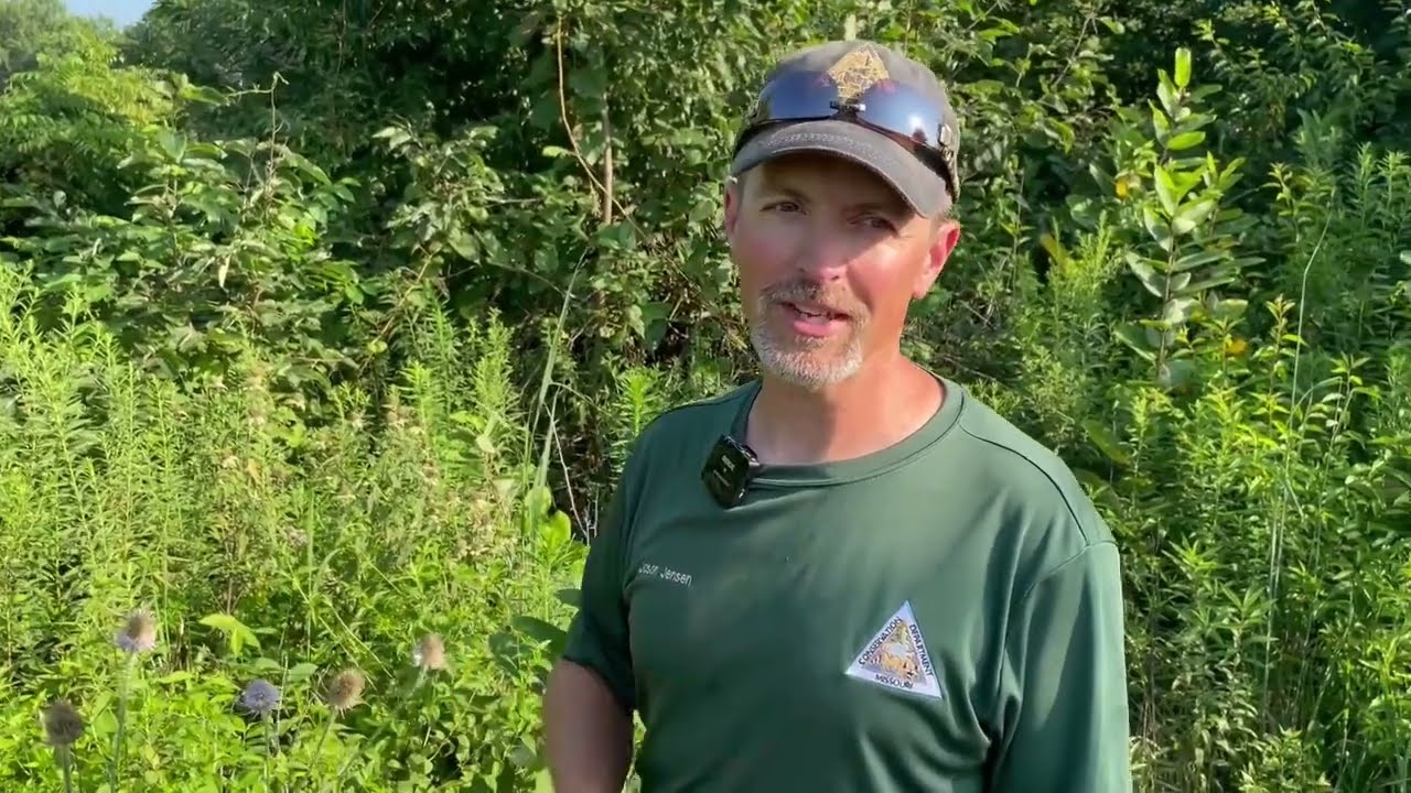 Habitat Hints: Invasive Teasel