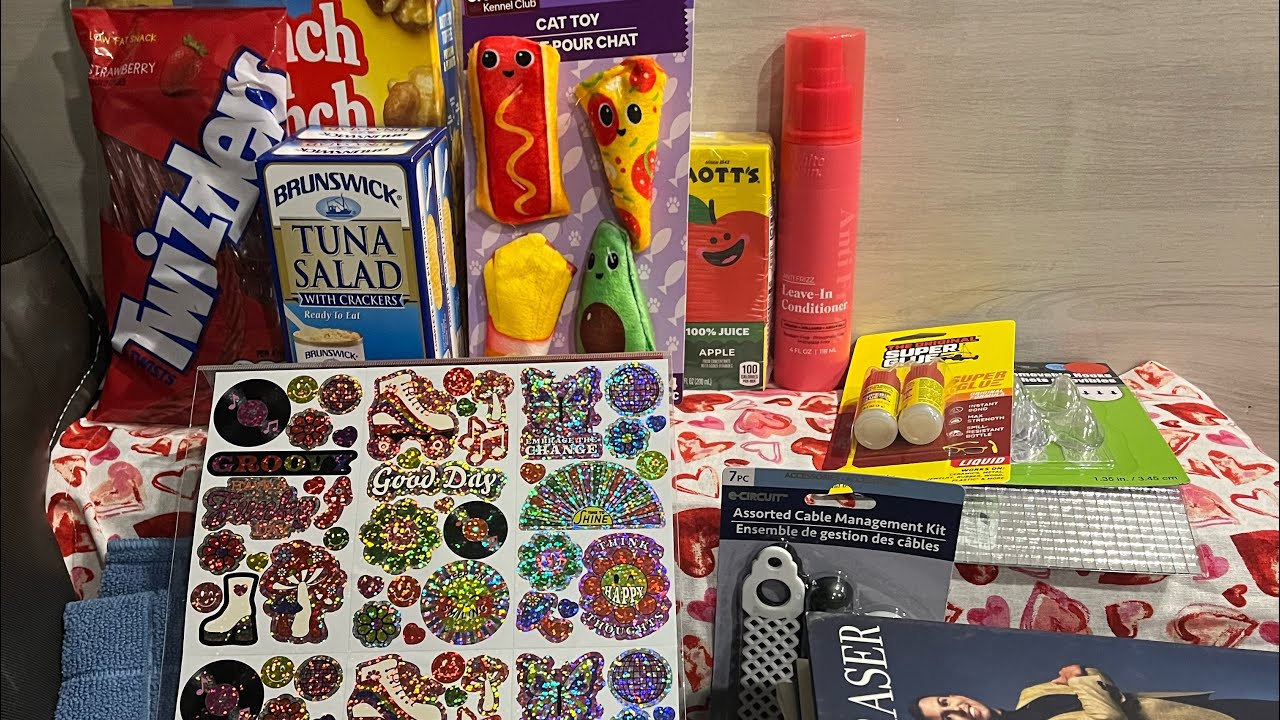 Dollar Tree Haul 2/20/26