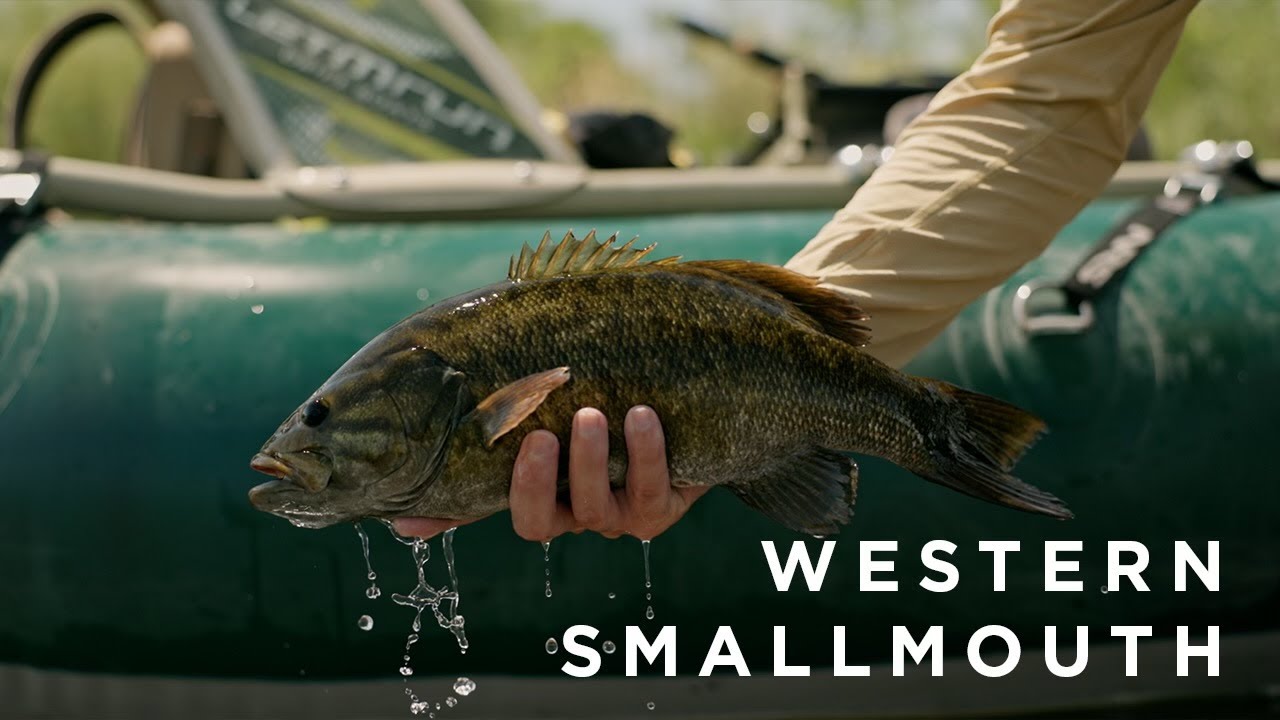 Fly Fishing For Bass: The Boys Are Back- Adam, Steve, & Bryant Fish New Water For Smallies