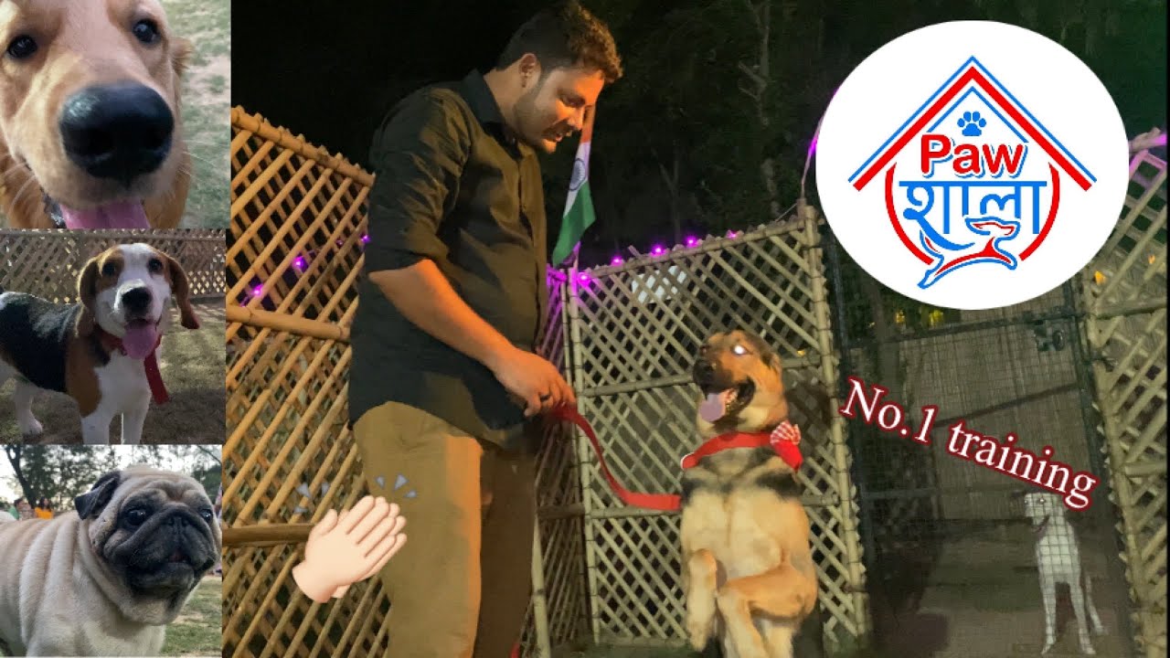 [PAWSHALA] No.1 DOG BOARDING & DOG TRAINING in DELHI NCR 🐶💕
