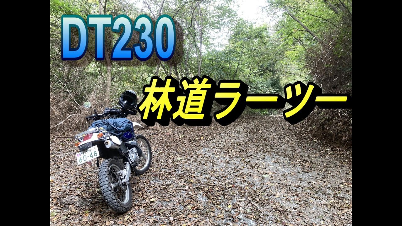 2022年10月17日YAMAHA DT230 ランツァ 林道ラーツー ライダー麵