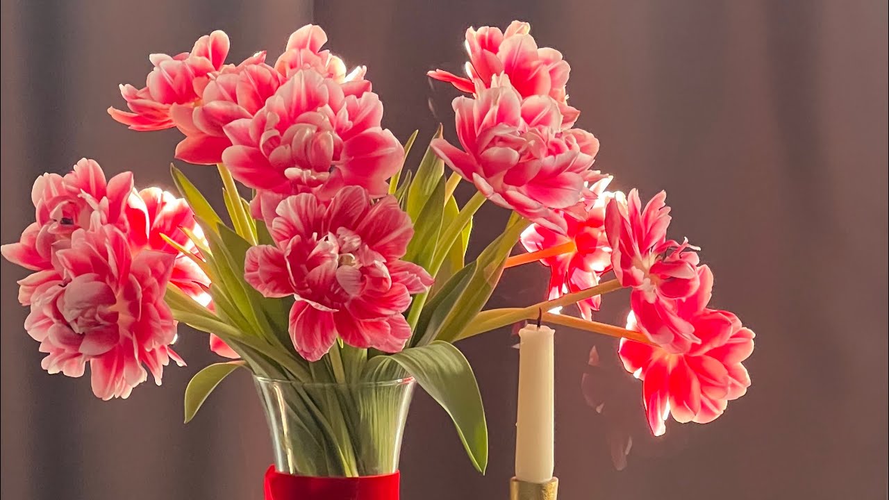 Его план На тебя в потоке. всегда на стороне Любви