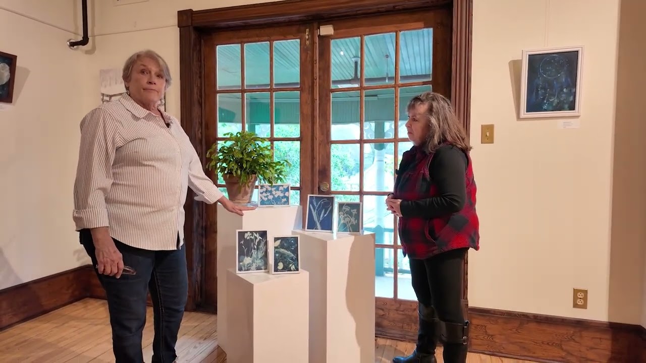 Main Gallery Artist at Hiddenite Arts & Heritage Center for Jan/Feb 2026 - Theresa McDanel