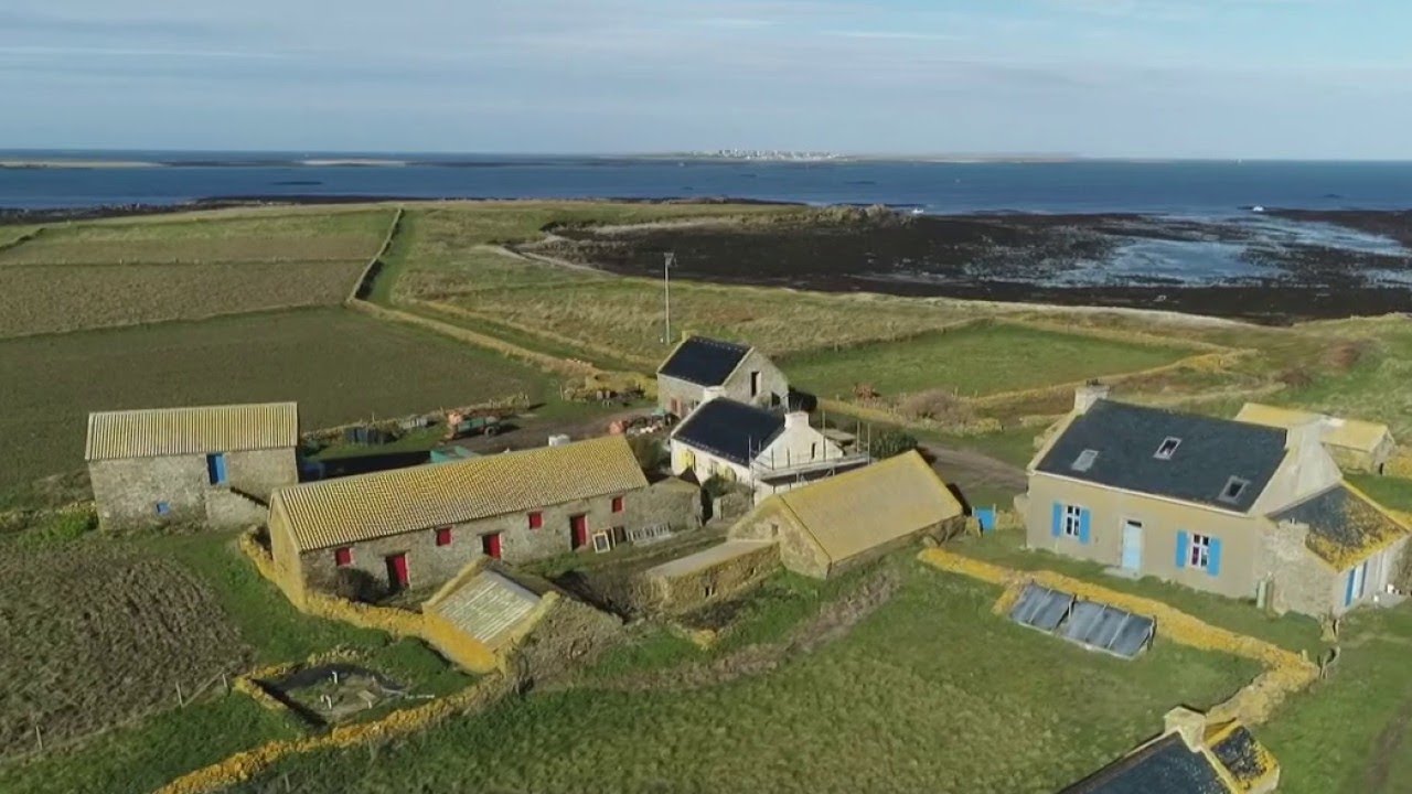 Nature - Île de Quéménès