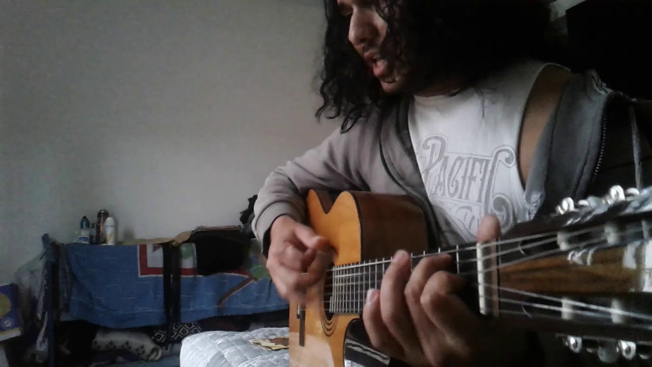 Repechos del guadal  (int&eacute;rprete: Dario Zabala)