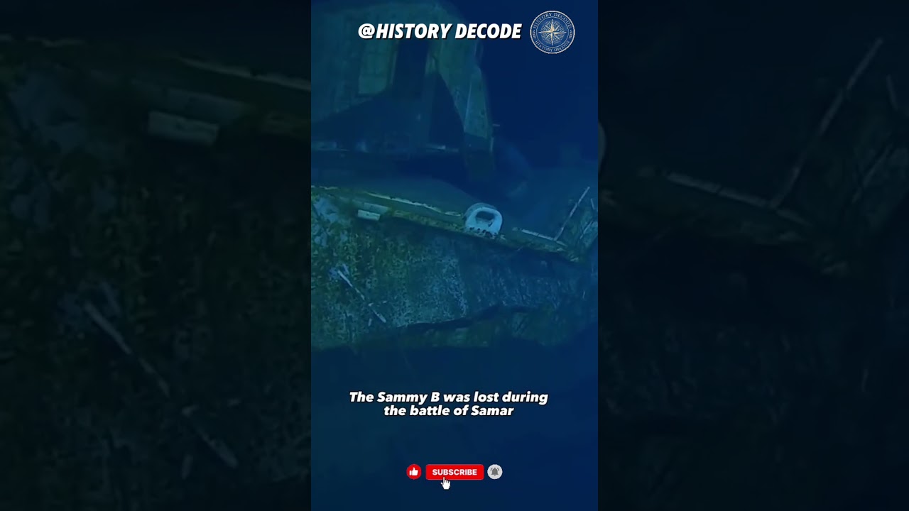 The deepest shipwreck in the world :USS Samuel B Roberts.