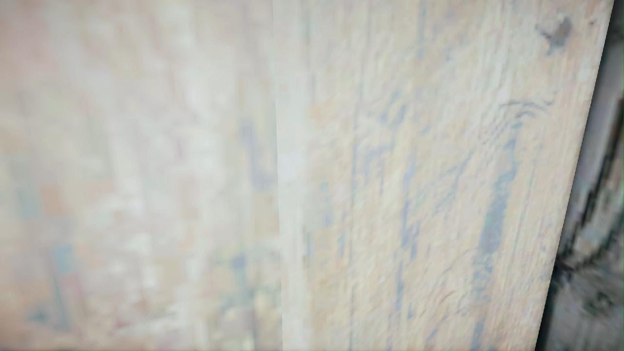 Animus Glitching Out