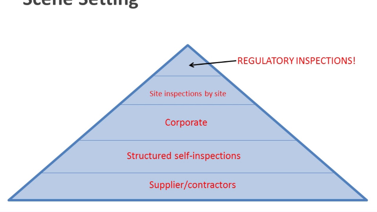 Webinar: Effective Self-Inspections - Best Industry Practices