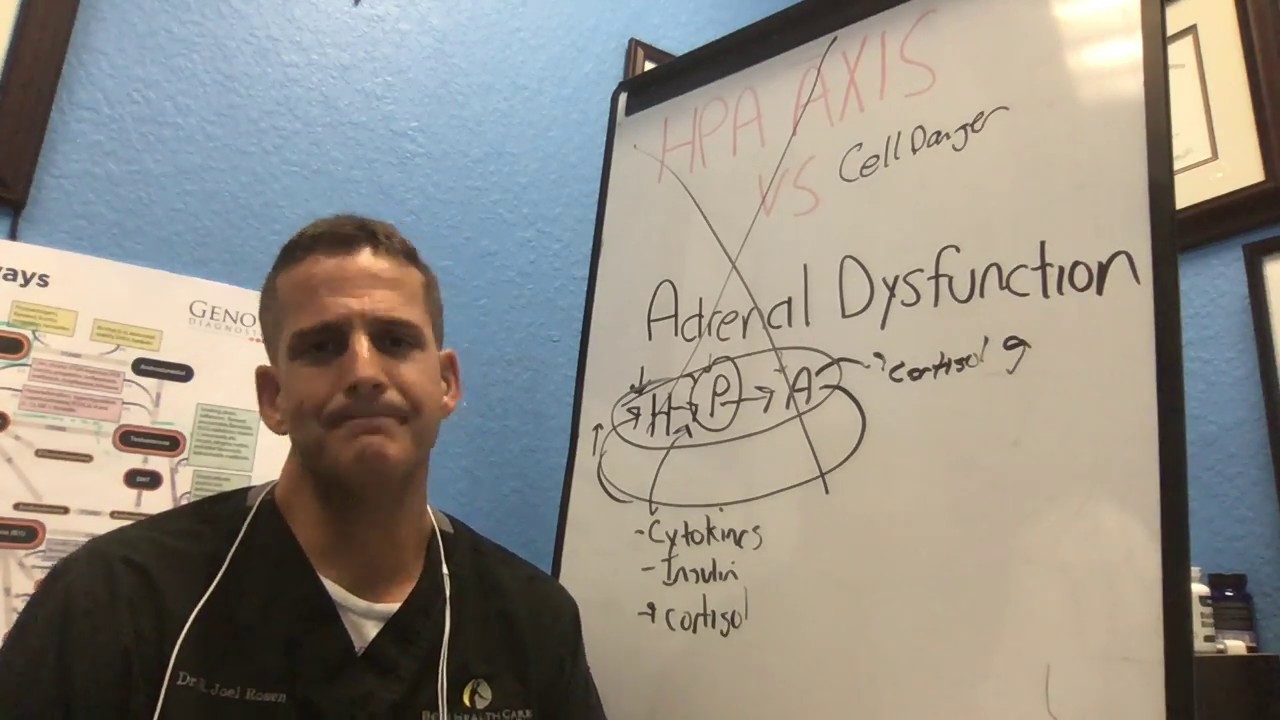 Adrenal Fatigue Vs HPA Axis Dysfunction