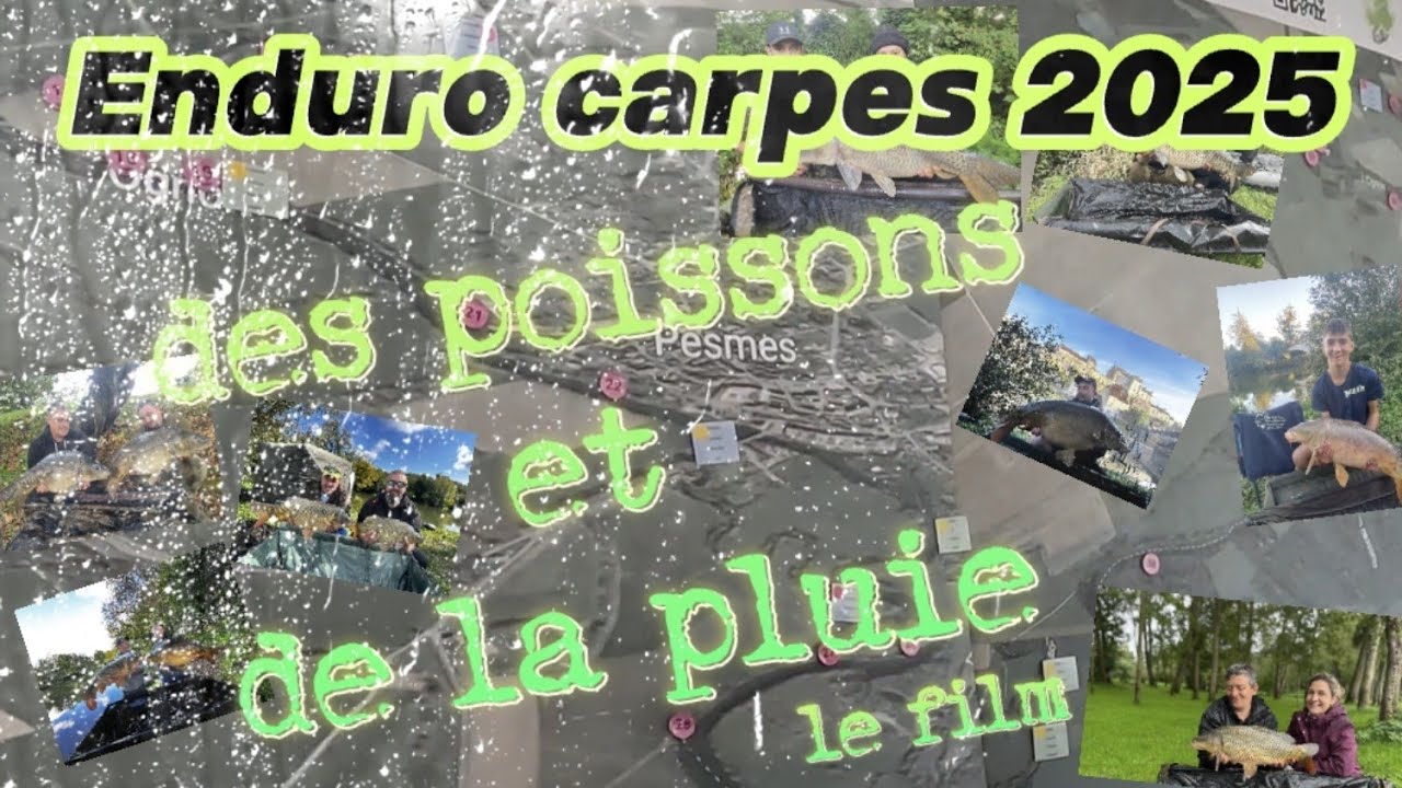 Des poissons 🐟  et de la pluie ☔️ Enduro carpes 10 ème éditions aappma la Captivante Pesmes