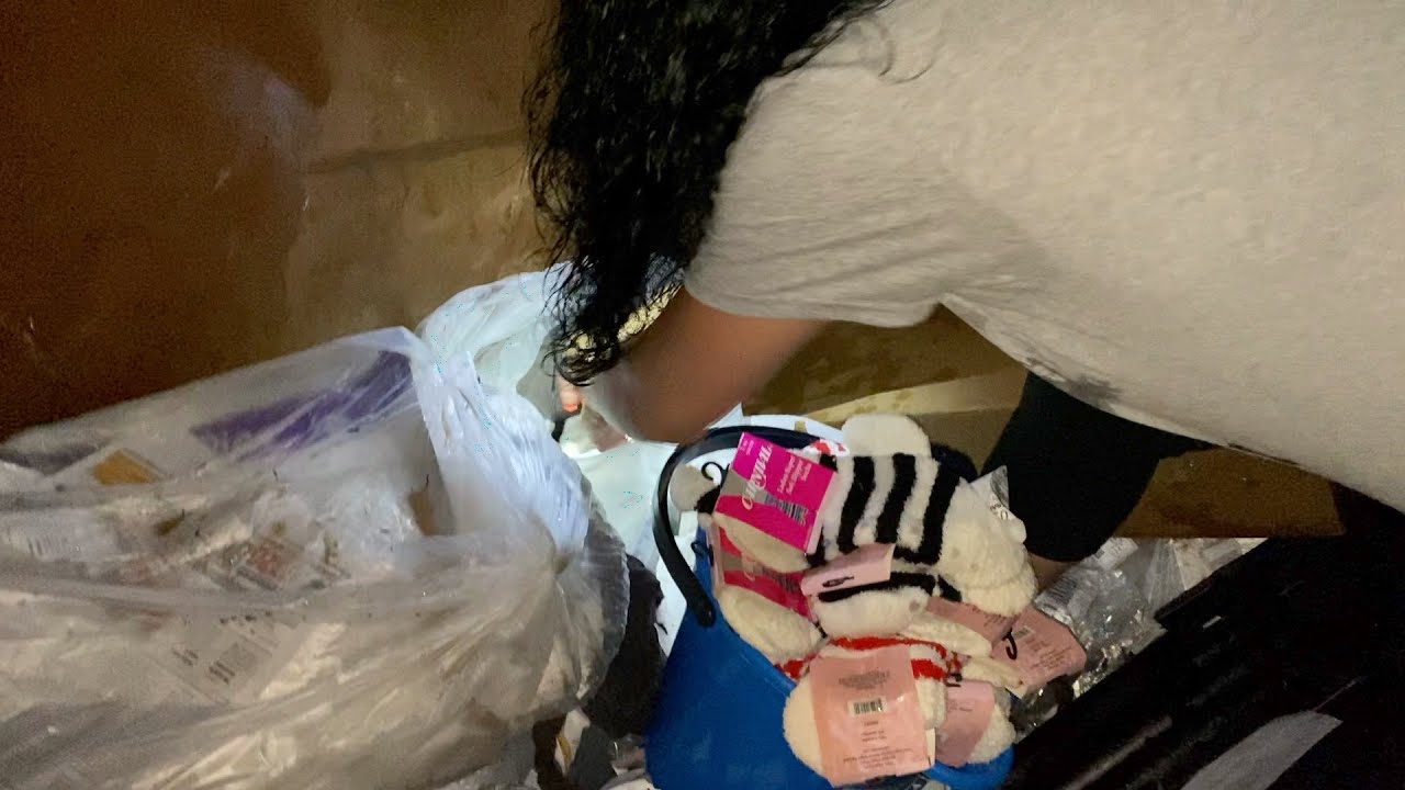 DUMPSTER DIVIN//CAME LITERALLY FACE 2 FACE WITH A RACCOON! BUT AT LEAST WE FOUND STUFF!!