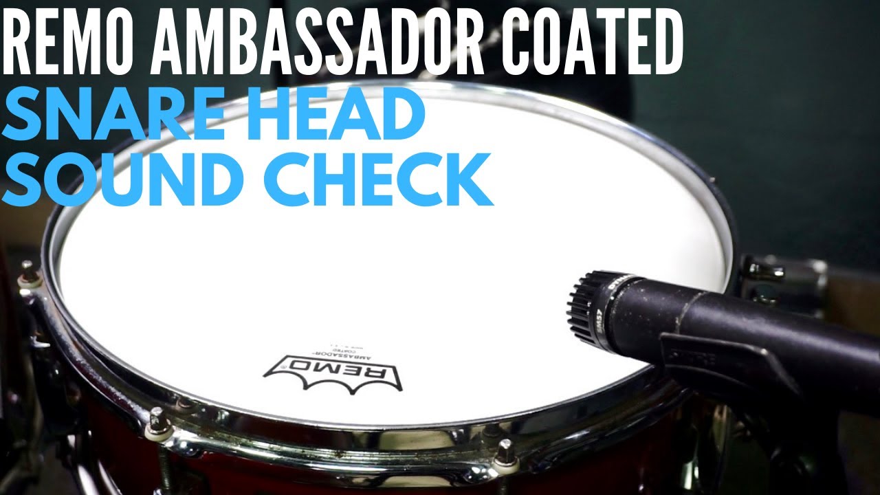 Remo Ambassador Coated Snare Head | Sound Check