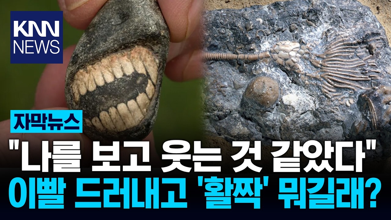 돌멩이가 이빨 드러내고 '활짝' 